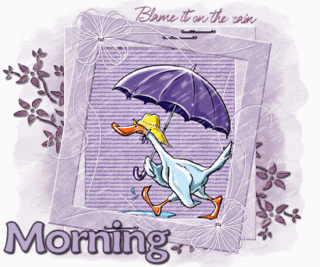 Rainy Morning-wg0181054