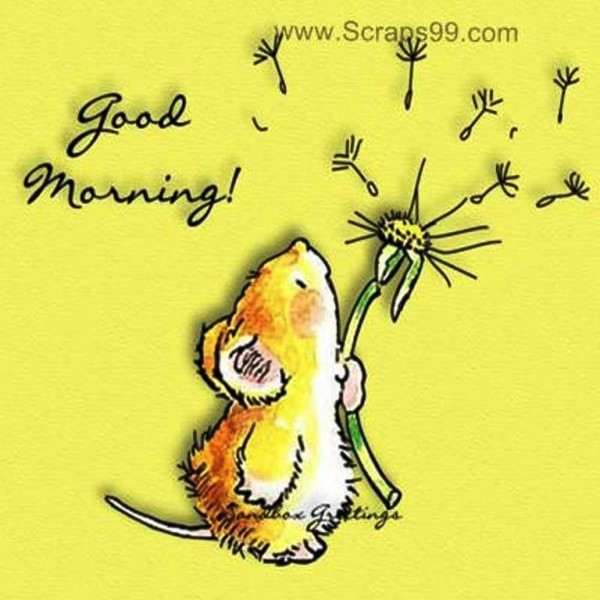 Rat - Good Morning-wg023365