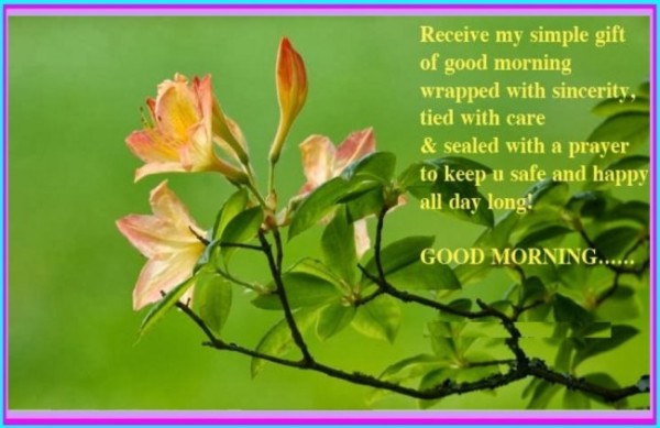 Receive My Simple Gift of Good Morning-wg140756