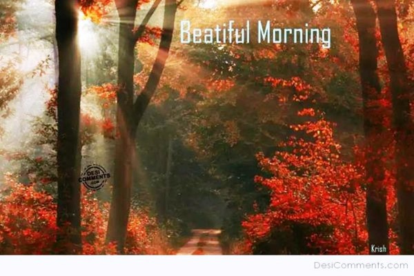 Beautiful Morning -wg023367