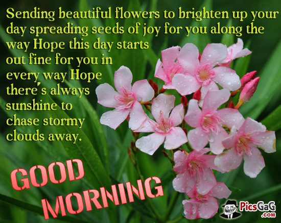 Sending Beautiful Flowers - Good Morning-wg140772