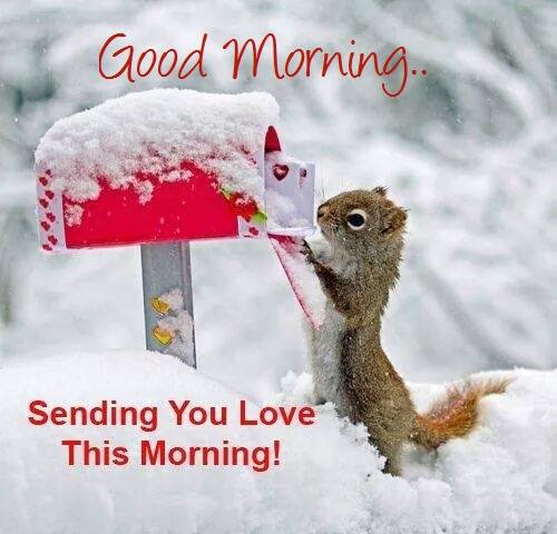 Sending You Love This Morning-wg16688