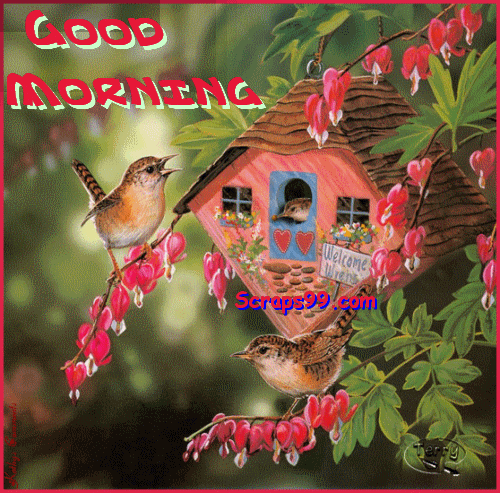 Sparrow  Animation- Good Morning-wg034467