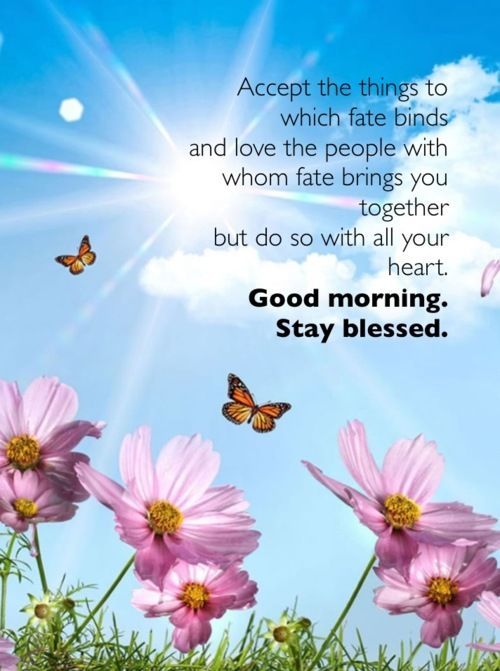 Stay Blessed - Good Morning-wg11653