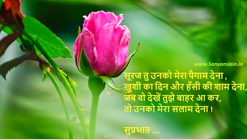 Good Morning Wishes In Hindi Pictures, Images - Page 3