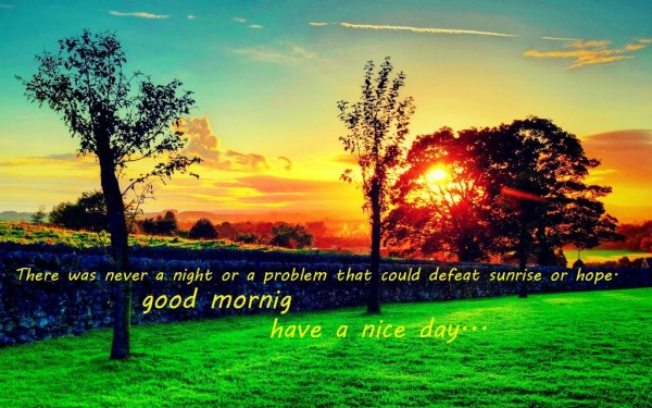 Summer Image - Good Morning-wg034481