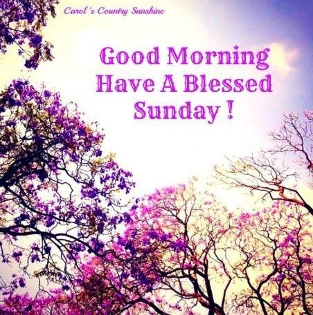 Have A Sunday Blessed - Good Morning-wg11660
