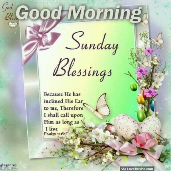 Sunday Blessing - Good Morning-wg034484