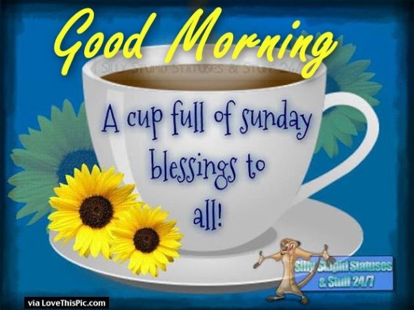 Sunday Cup - Good Morning-wg11662