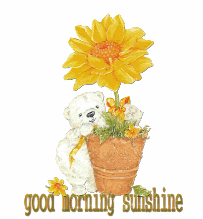 Sunflower - Good Morning-wg0181083