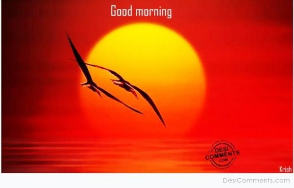Sunrise- Good Morning-wg023409