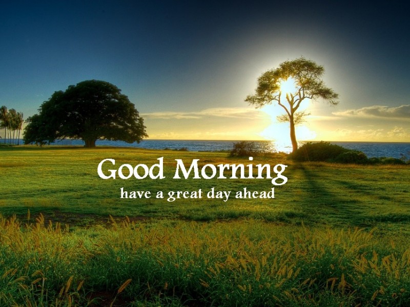 Good Morning Wishes Pictures, Images