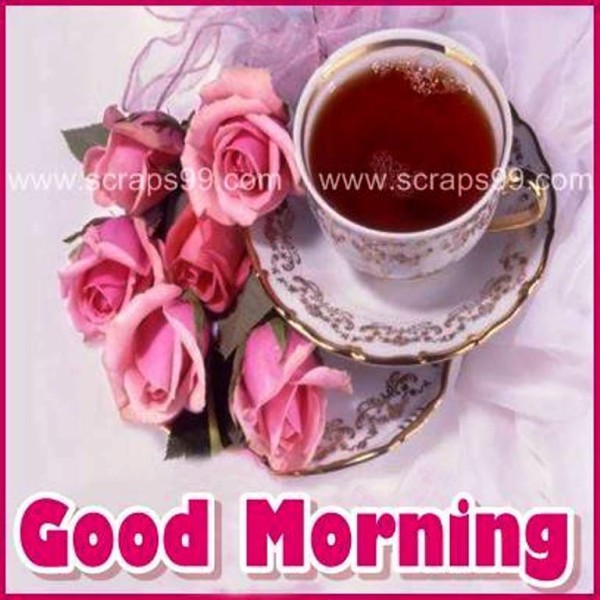 Tea -  Good Morning-wg023421