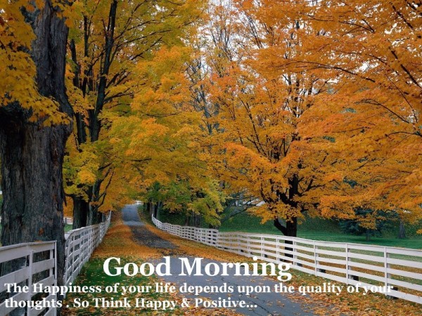 The Happiness Of Your Life - Good Morning-wg16745