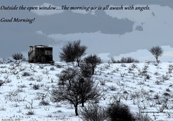 The Morning Air Is All Awash With Angels-wg140871