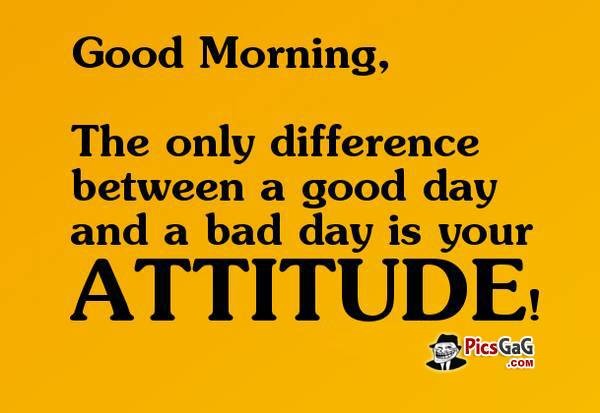 The Only Difference Between A Good Day And Bad Day-wg140874