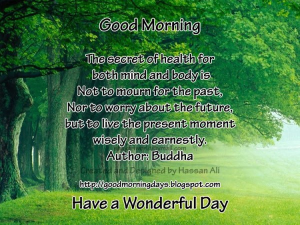The Secret Of Health - Good Morning-wg140886