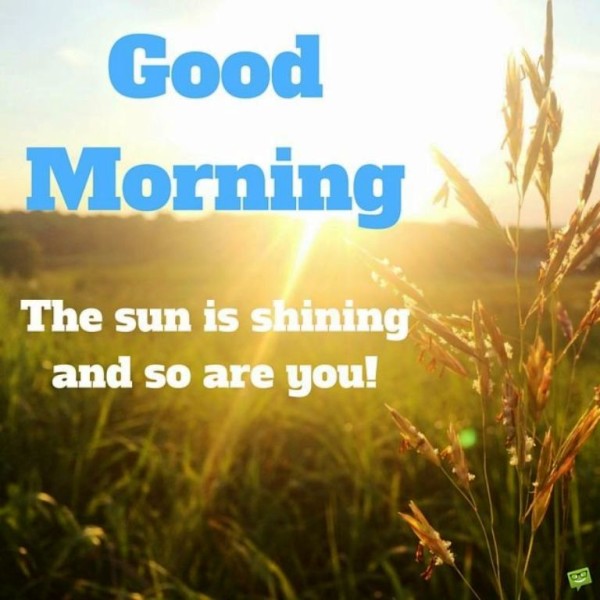The Sun Is shine - Good  Morning-wg023432