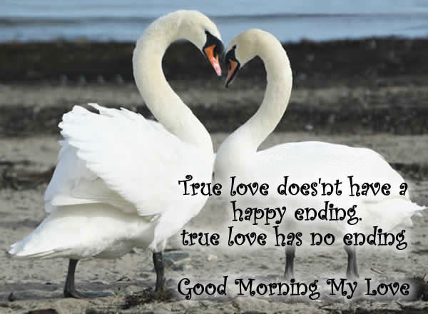True Love Does Not Have A Happy Ending-wg140951