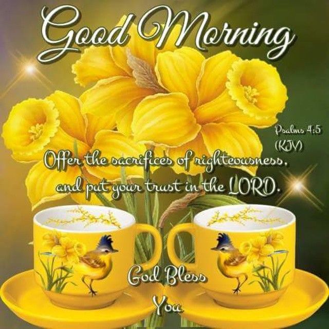 Trust In The Lord Good Morning Good Morning Wishes & Images