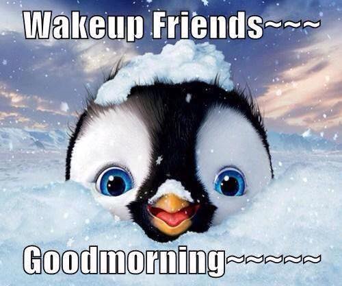 Wakup Friends - Morning-wg16777