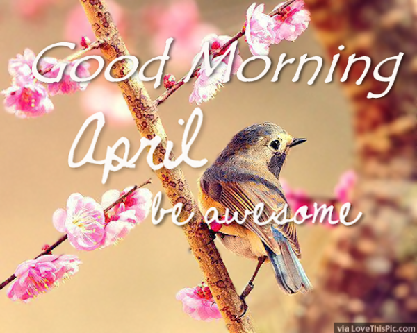 Welcome April Month - Good Morning-wg11703