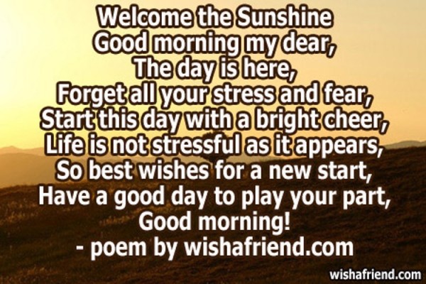 Welcome The Sunshine Good Morning My Dear-wg140988