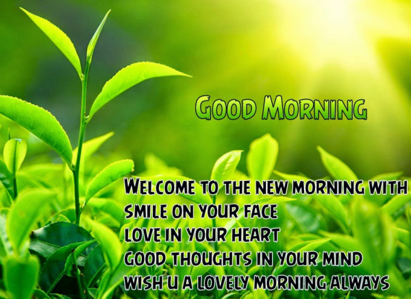 Welcome To The New Morning With Smile-wg140990