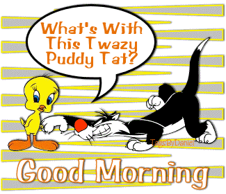 What Is With This Twazy Puddy Tat - Good Morning-wg0181123