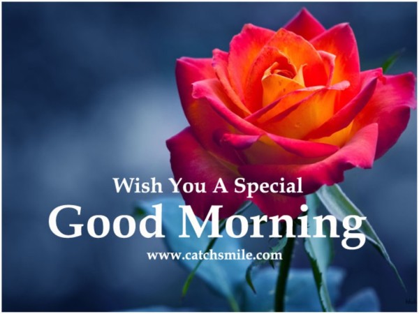 Wish A Special  Good Morning-wg034536