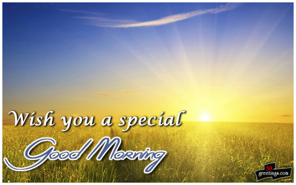 Wish You A Special Good Morning-wg140993