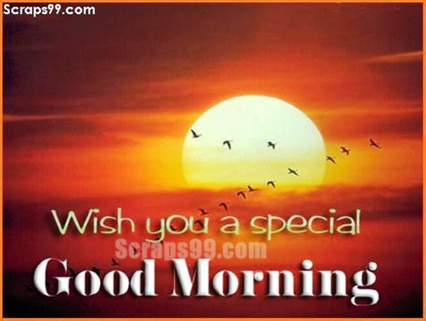 Wish You Special  Morning-wg023457