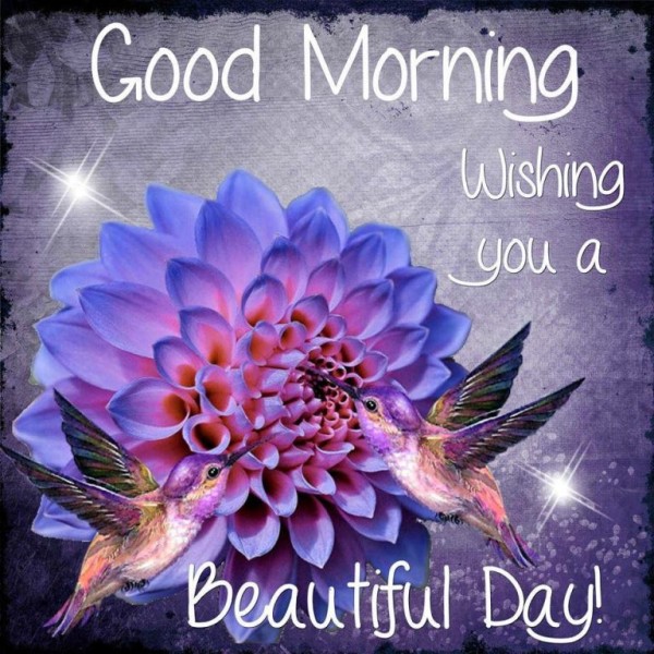 Wishing You A Beautiful Day  - Good Morning-wg034541