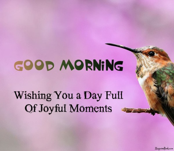 Wishing You A Day Full Of Joyful Moments-wg140996