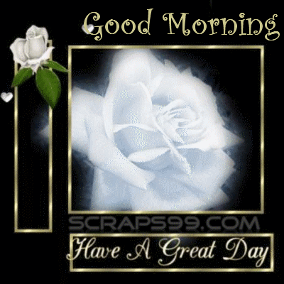 Wonderful Day -  Good Morning-wg034542