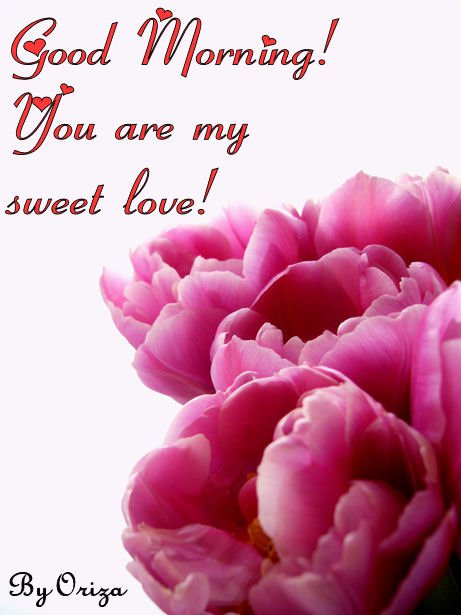 You Are My Sweet Love-wg16821