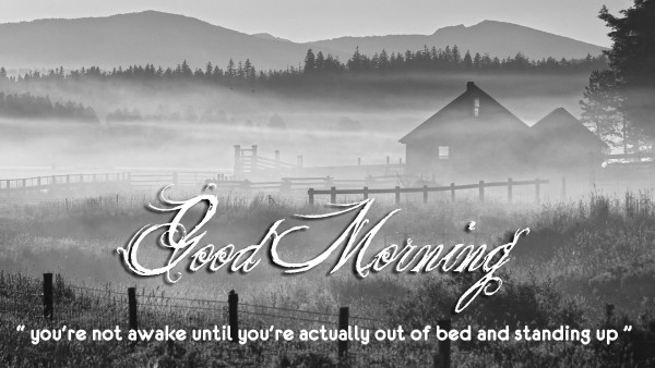 You Are Not Awake - Good Morning-wg16823