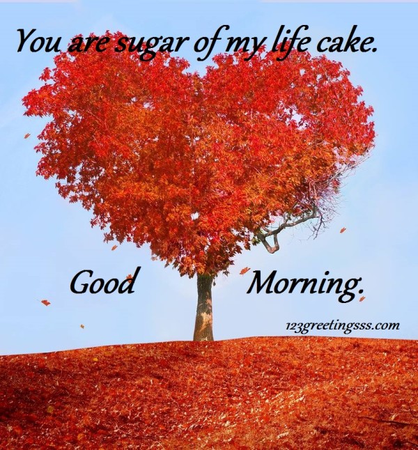 You Are Sugar Of My Life - Good Morning-wg16827