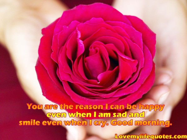 You Are The Reason I Can Be Happy !-wg16833