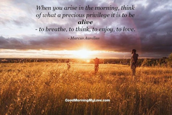 You Arise In The Morning - Good Morning-wg034547