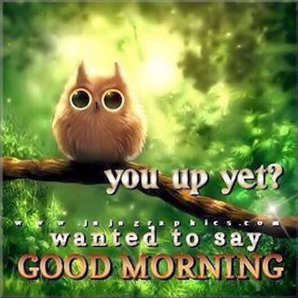 You Up Yet - Good Morning-wg034281