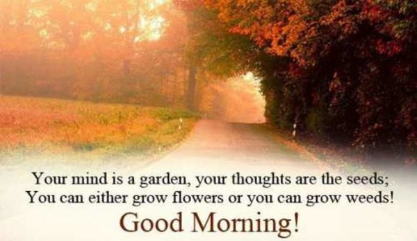 Your Mind Is  A Garden - Good Morning-wg16852