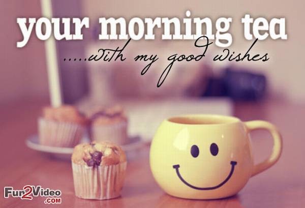 Your Morning Tea-wg034282