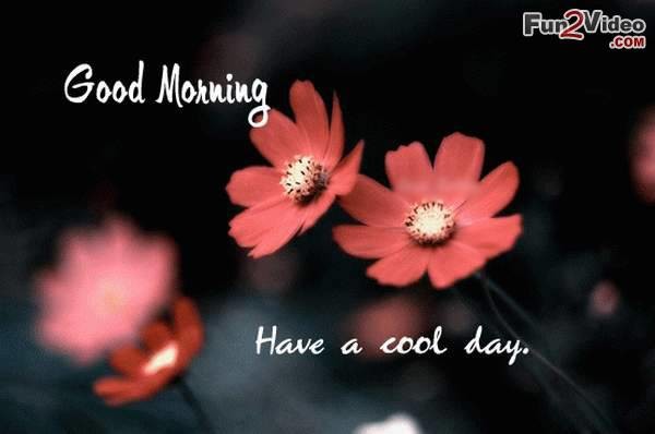 Have A Cool Day - Good Morning-wg140359