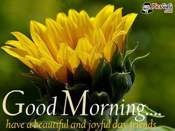 Have A Joyful Day My Friends - Good Morning-wg140364