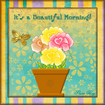 it's A Beautiful Morning !-wg0180886
