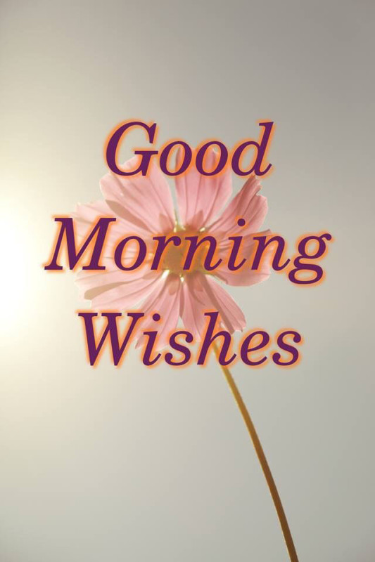 Good Morning Wishes-wg11713