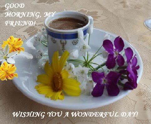 Wishing You A Wonerful Day-wg0181131