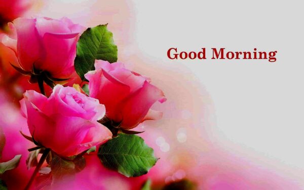 Good Morning Wish With  Flowers