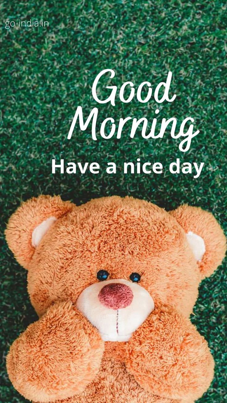 Cute Teddy Good Morning